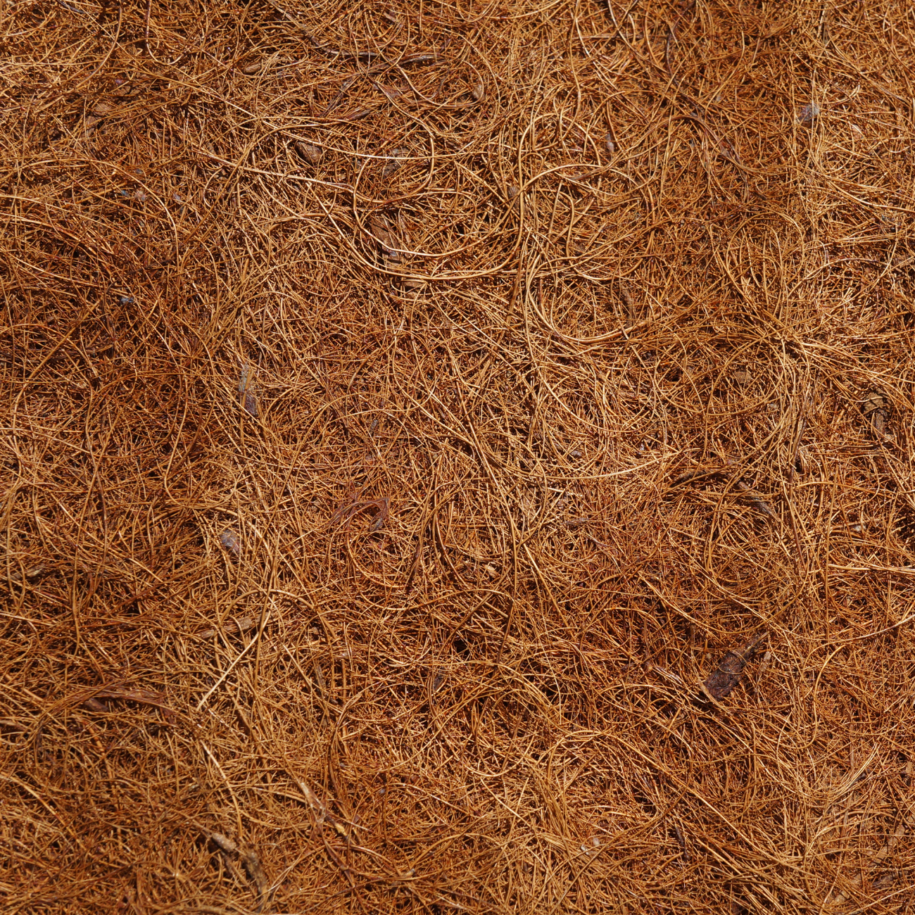 BERGAL COCO AIR BERGAL COCO AIR